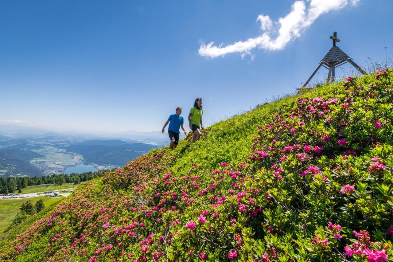 Mountain Resort Feuerberg بودينسدورف المظهر الخارجي الصورة